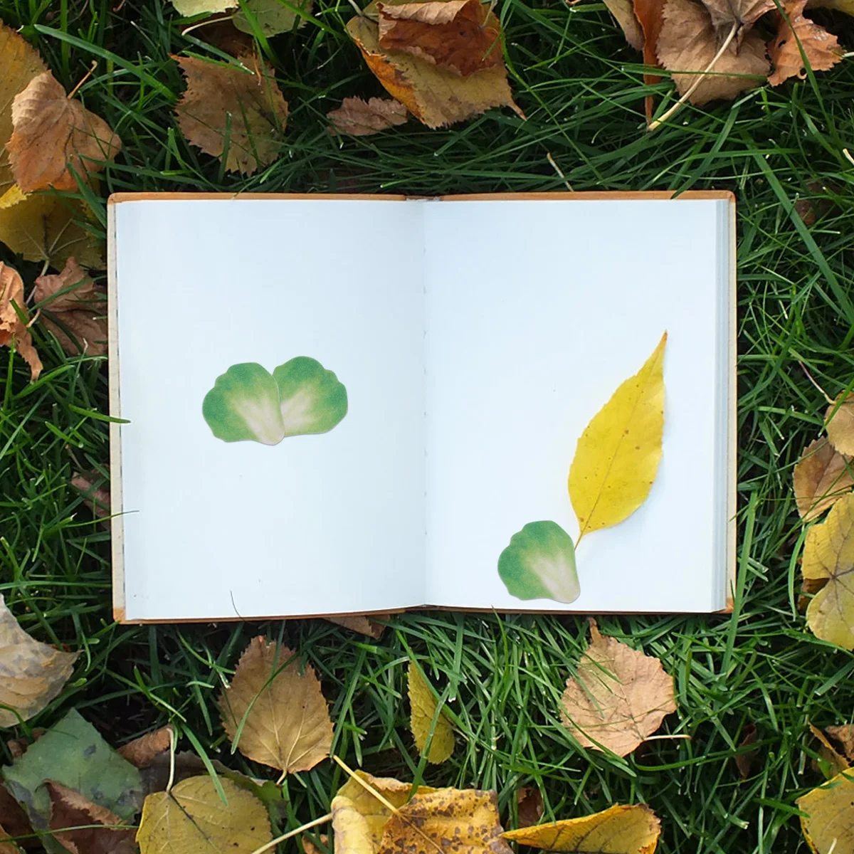 

2Pcs Petal Stickers Bright Color Washi Tapes DIY Decorative Tape for Scrapbook Photo Album Gift Wrapping Handmade Supply