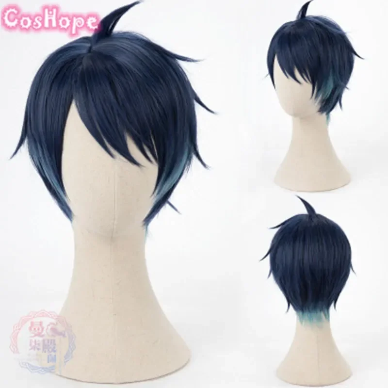Riddle Ace Trey Cater Deuce Malleus Lilia Silver Sebek Azul Jade Floyd Idia Ortho Jamil Cosplay Wig  image 2
