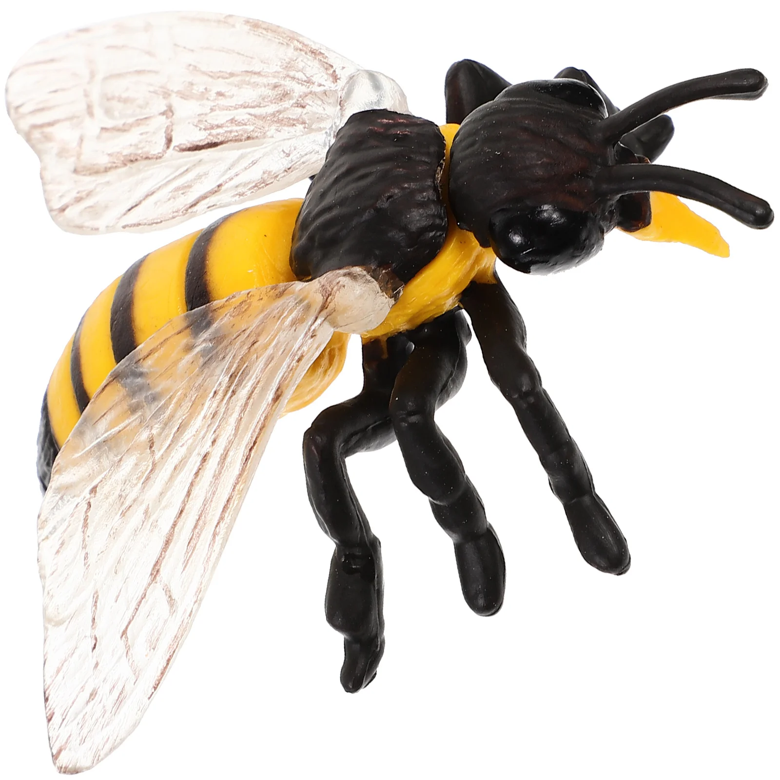 

Animal Model Toys Science Educational Prop Realistic Bee Figure Plastic Lifelike Teaching