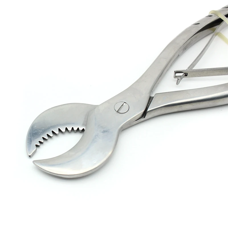 1 шт. M/L стоматологические лабораторные инструменты, ножницы для зубной штукатурки, презервативы, щипцы из нержавеющей стали, инструмент, ножницы для гипсовой штукатурки