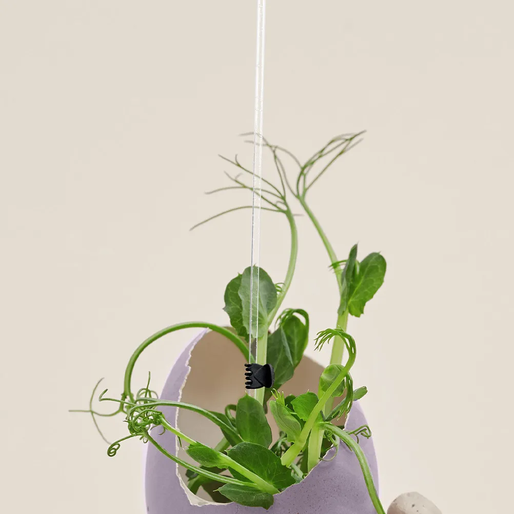 

10Pcs Transparent Plant Support Stakes Acrylic Garden Stake for Climbing Vines Potted Flowers Single Stem Holder Bracket