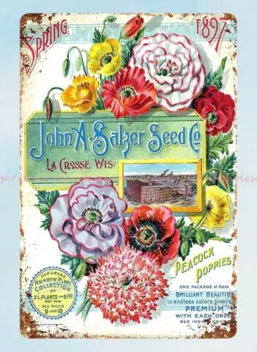 poppies flower John A. Salzer Seed Co. 1897 metal tin sign living room decor