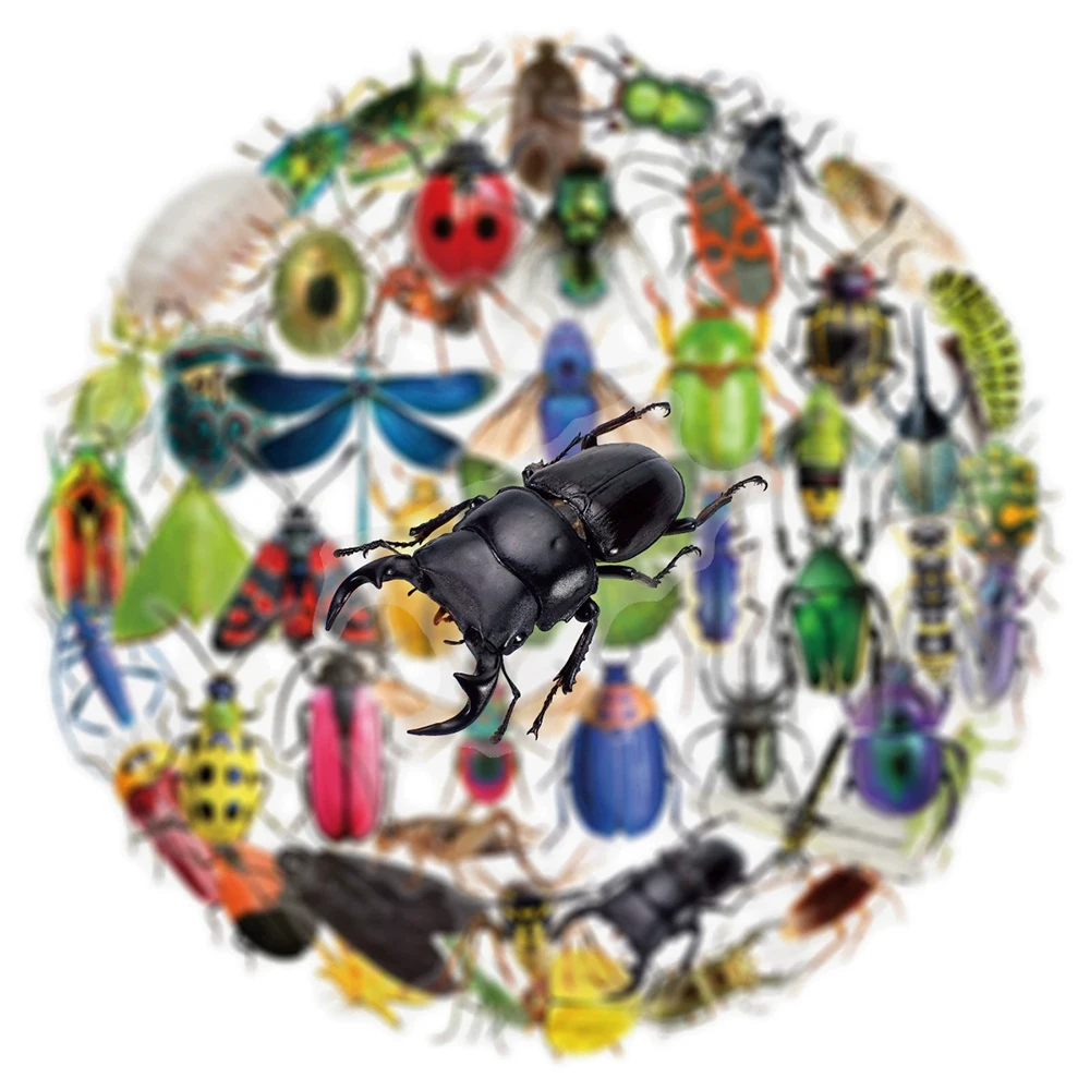 10/30/50 Stuks Cool Transparant Insect Kever Sticker Pack Realistische Dier Graffiti Decals Waterdichte Sticker Diy Notebook bagage