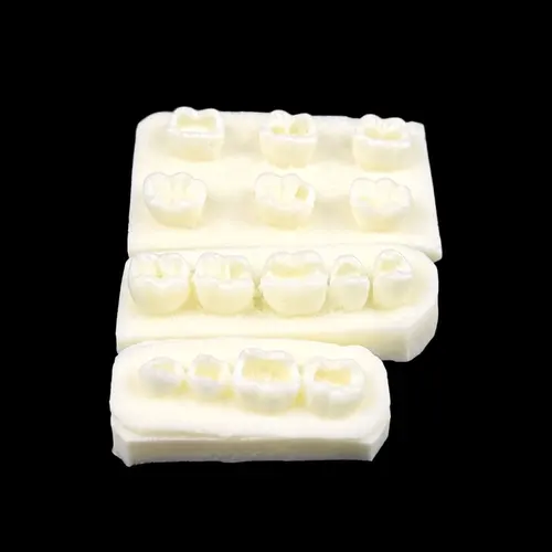 Imagen 2 del producto Modelo de práctica de implante de odontología, modelo de relleno Dental, modelo de dientes de implante para entrenamiento, enseñanza, estudio, demostración educativa