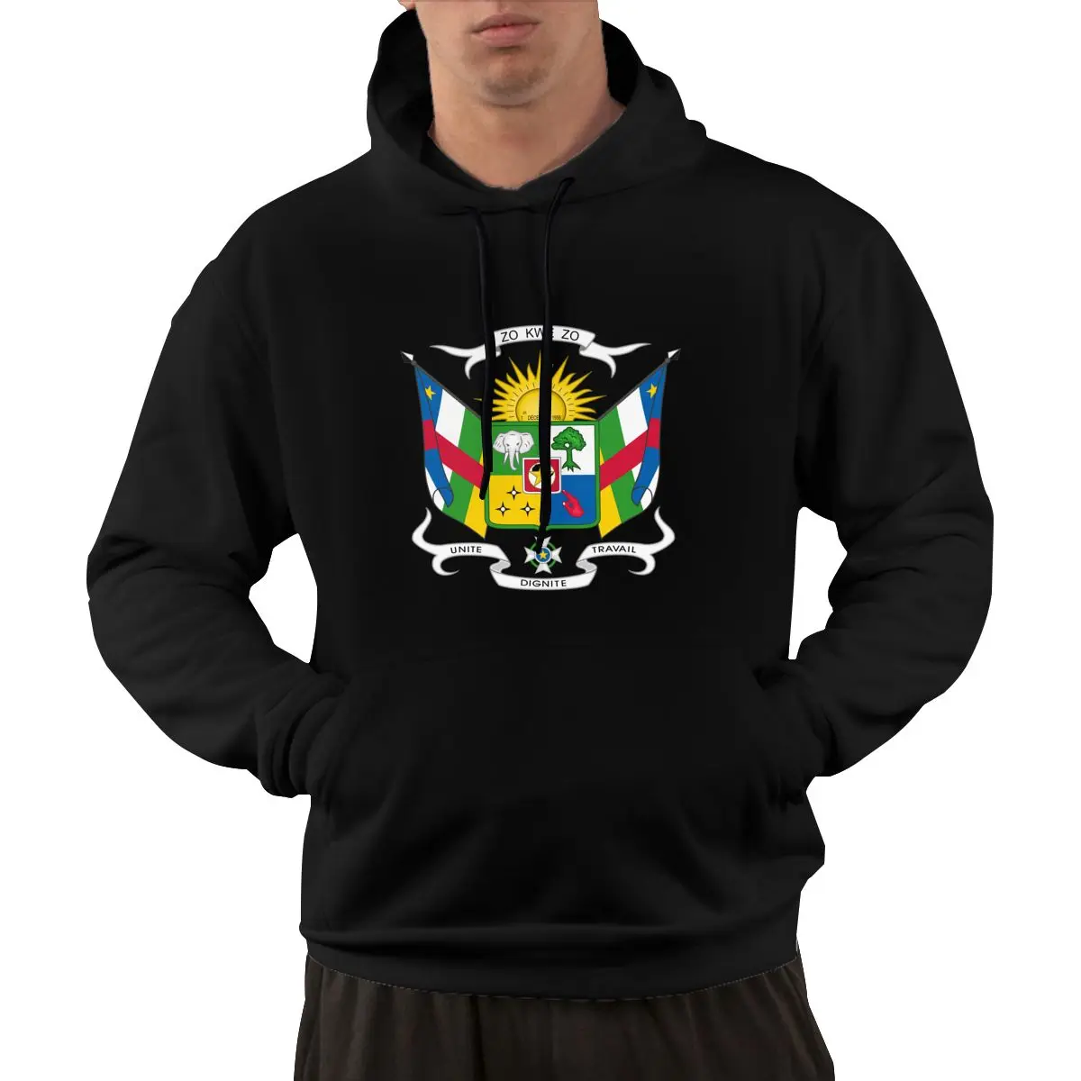 95% Cotton Emblem Of Central African Republic Country Flag Warm Winter Pullover Hoodie Men Women Unisex Hip Hop Style Sweatshirt