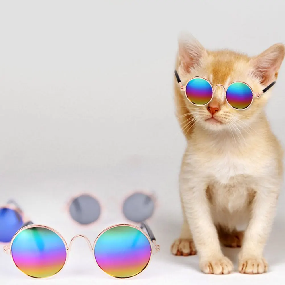 

Pet Glasses Round Frame Decorative Puppy Sunglasses Dog Accessories Medium Breed Fashionable Eyewear Lightweight Compact Protect