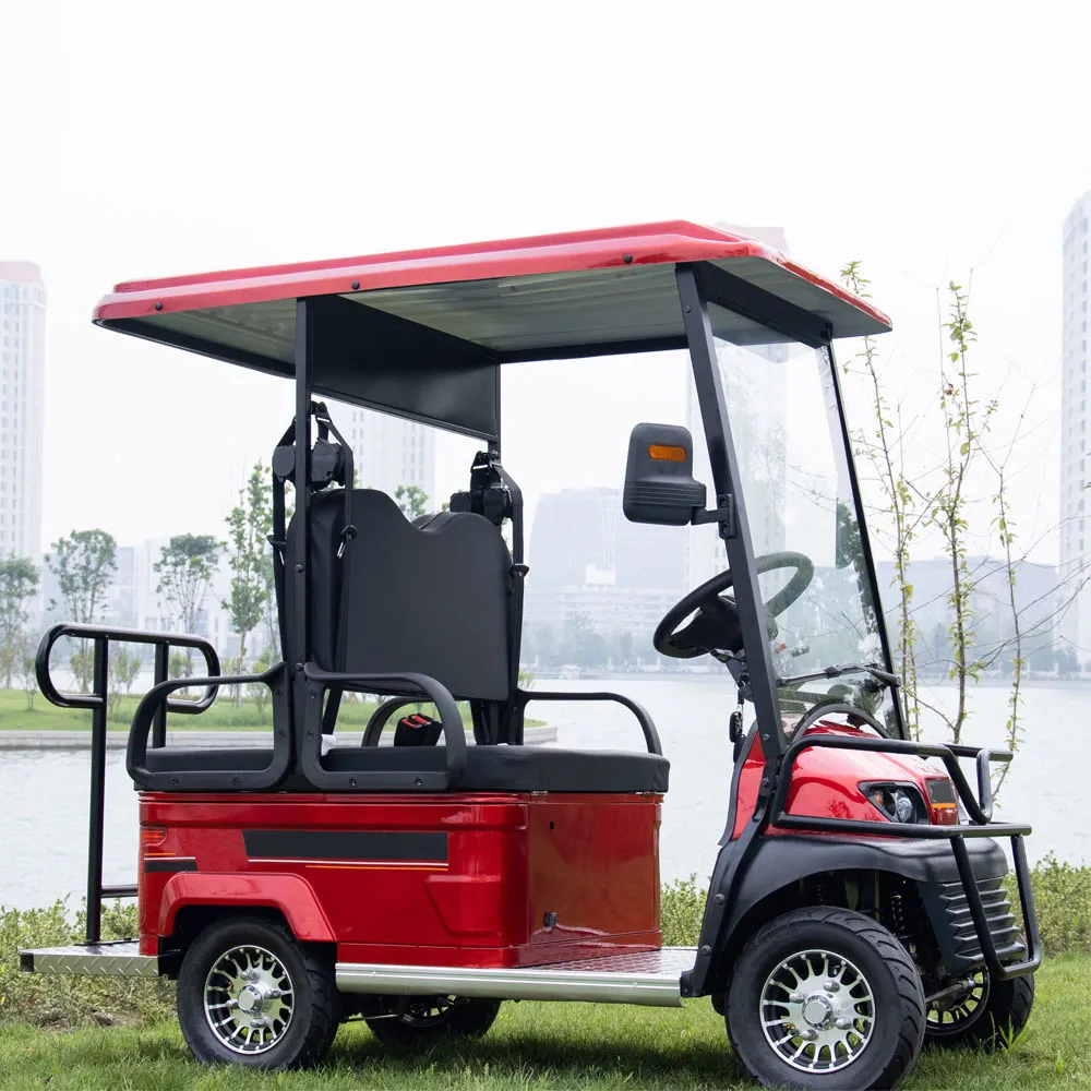 Powerful Rear Wheel Dual Drive Dirt-Free Steep Incline 650/800W Differential Motor 60V 20/32/50AH 2 Seats Electric Bus Golf Cart