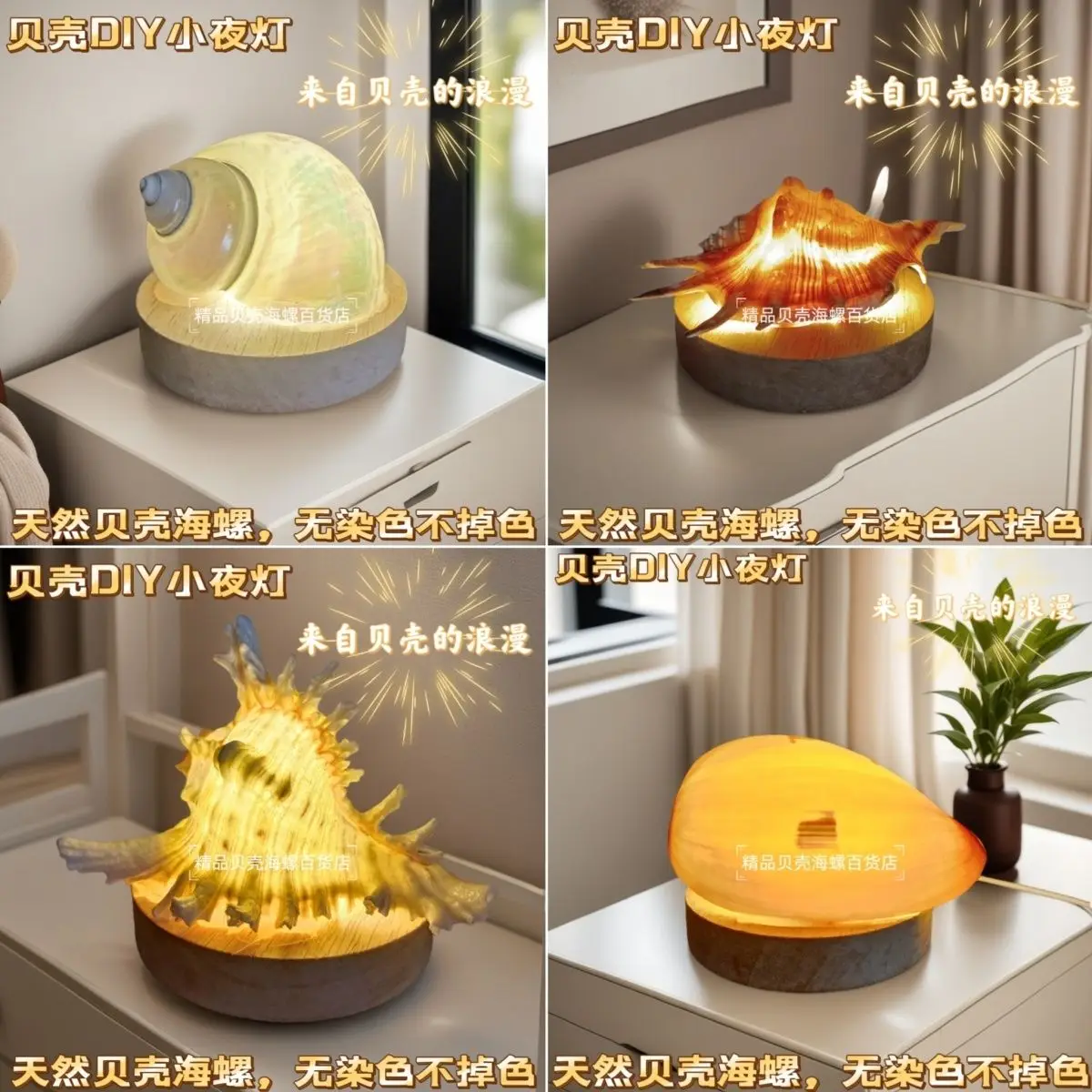 Natural Conch Sea Urchin Shell Mini Night Light Senior Children's Birthday Gift Creative Ornaments