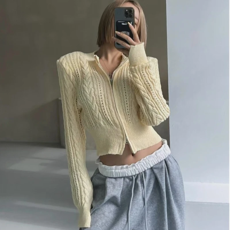

Korean Street Style Slim Solid Fried Dough Twists Stand Collar Women's Short Knitted Top Spring and Autumn Hollow Style New Coat
