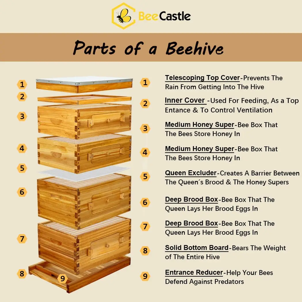 Free ShippingCastle 10 Fe Stroth Hive With Windows Swax Coated Includes Hivs And Waxed Foundations (2 Deep Hive Boxes & 2 Medium