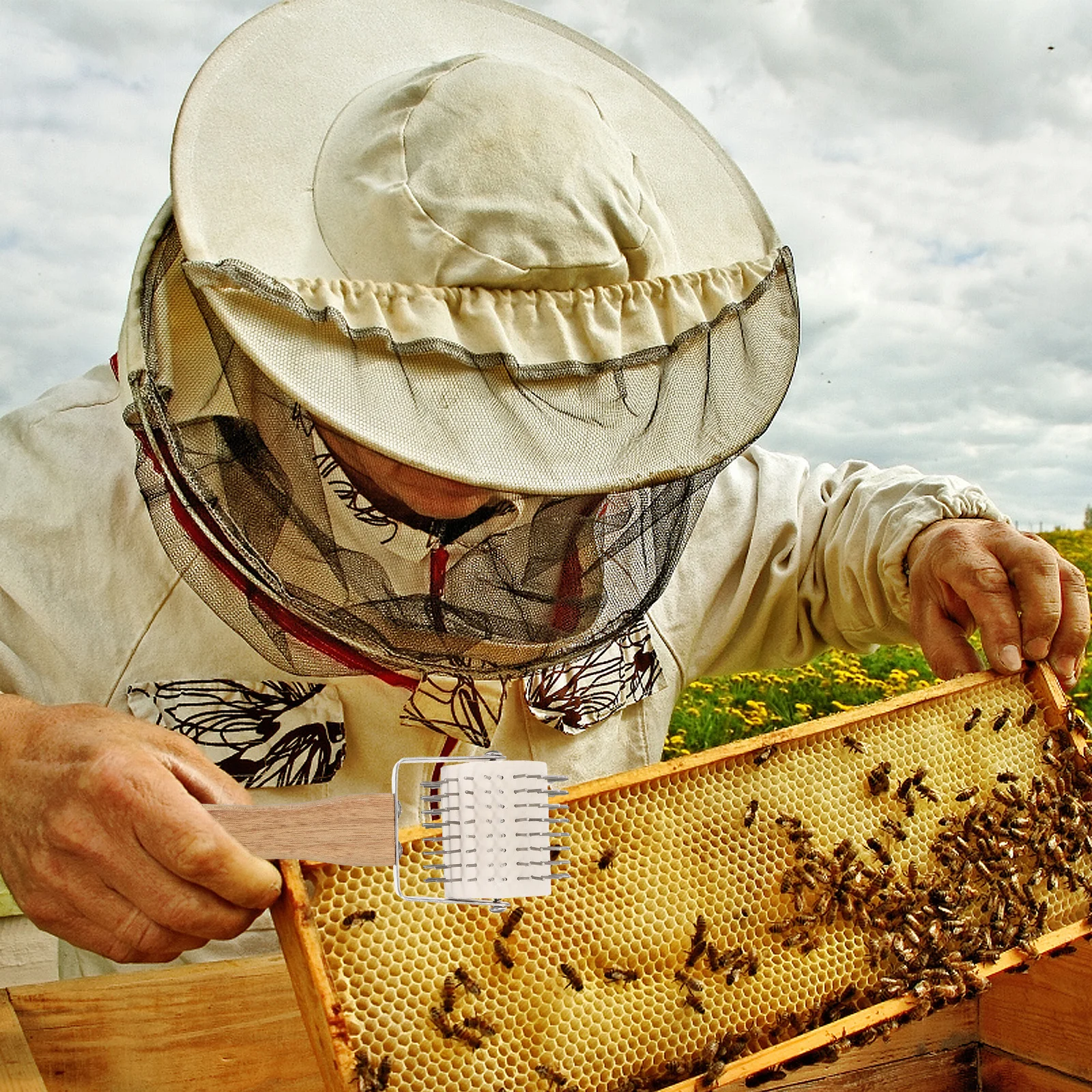 เข็มม้วนเก็บน้ำผึ้งพร็อพอลิส ทำจากสแตนเลส อุปกรณ์เลี้ยงผึ้ง เครื่องมือช่างสำหรับรังผึ้ง