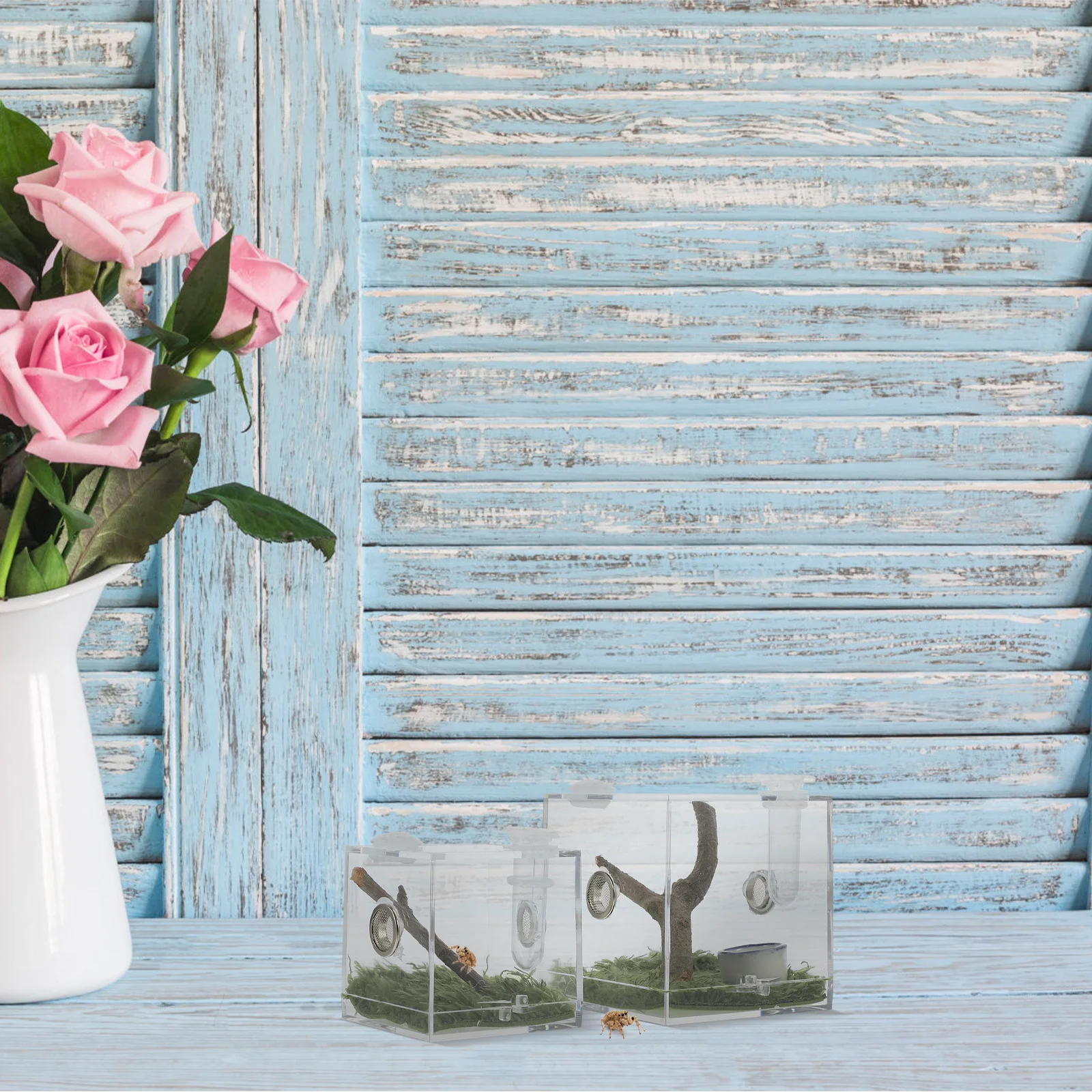 

2pcs Jumping Spider Enclosure Box Clear Acrylic Insect Habitat Case For Reptile Breeding Transparent Snail Terrarium Pet Cage