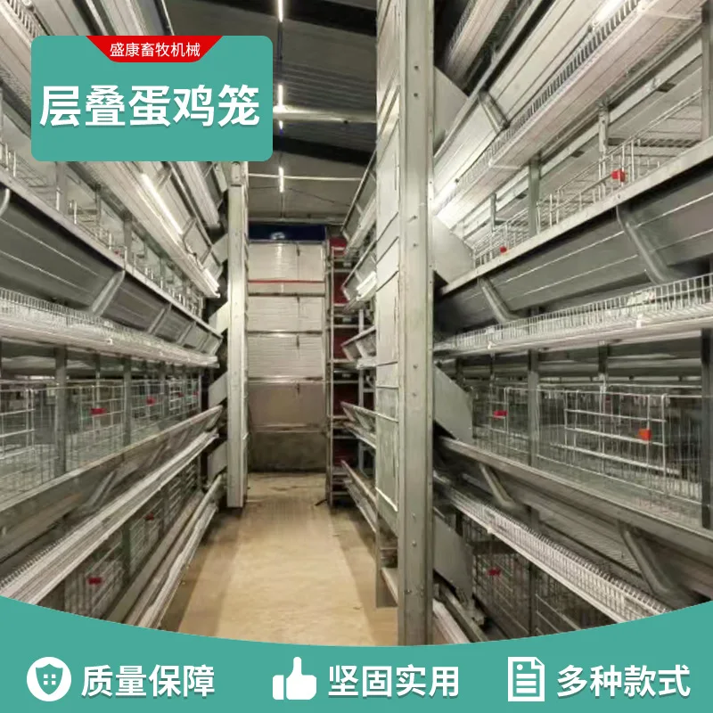 

Large cascade laying hens cage Automatic egg collection Multi-layer Galvanized chicken cage Stacked chicken