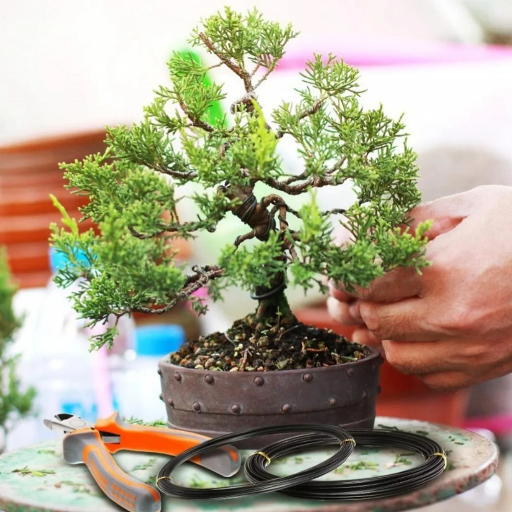 7Pcs Aluminum Bonsai Training Wire Kit 1mm 1.5mm 2mm With Plier For Holding Branches Small Trunks Gardening Tool