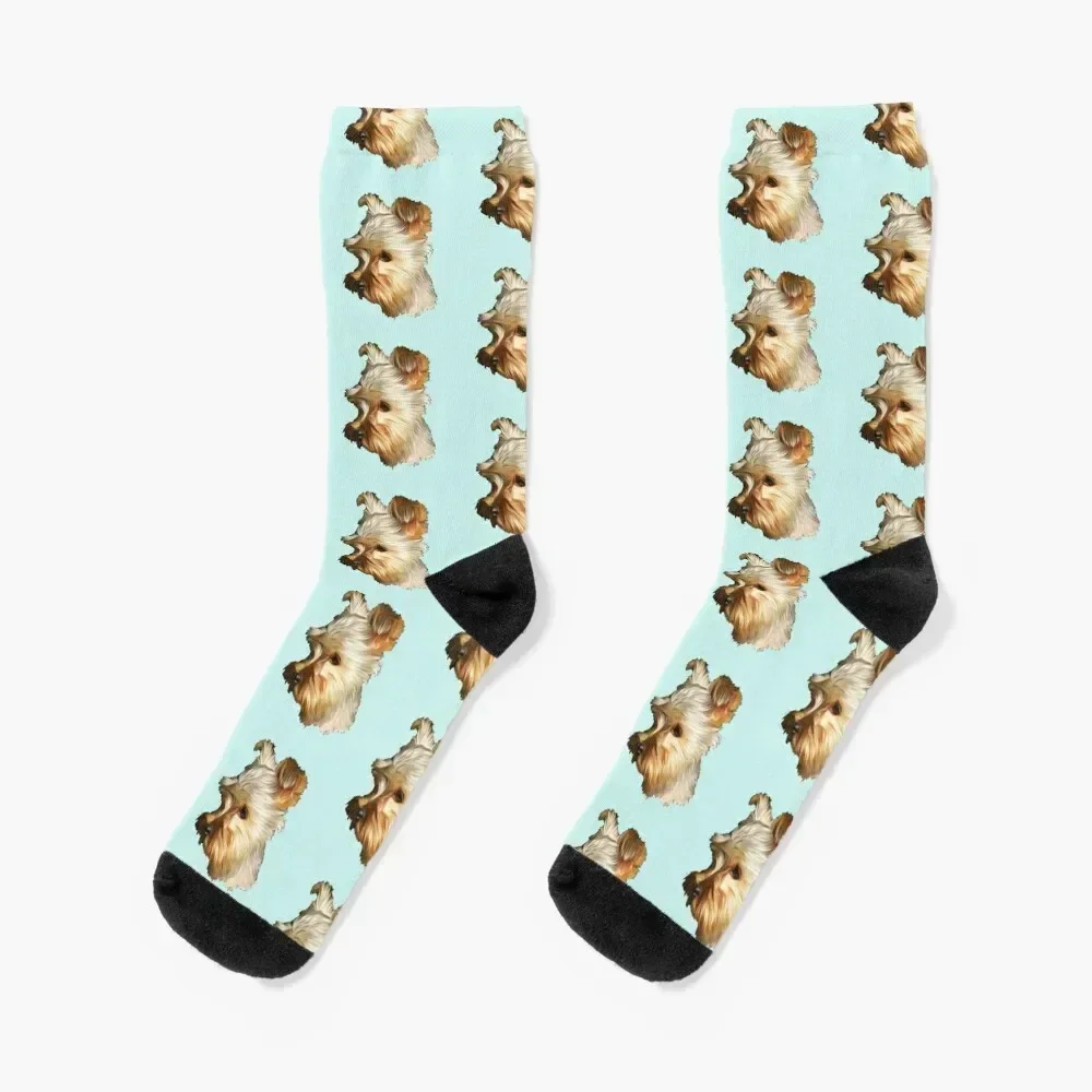 Yorkshire Terrier Portrait Socks New year's kids christmas stocking Mens Socks Women's