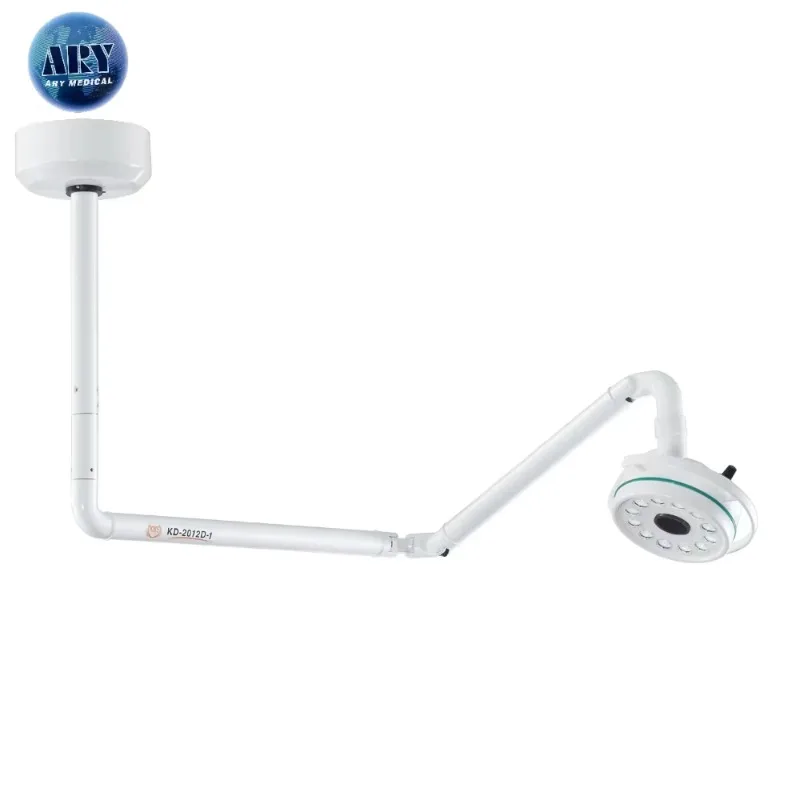 

AryDurable Hanging LED Examination Light forand Clinics Powered by Electricity