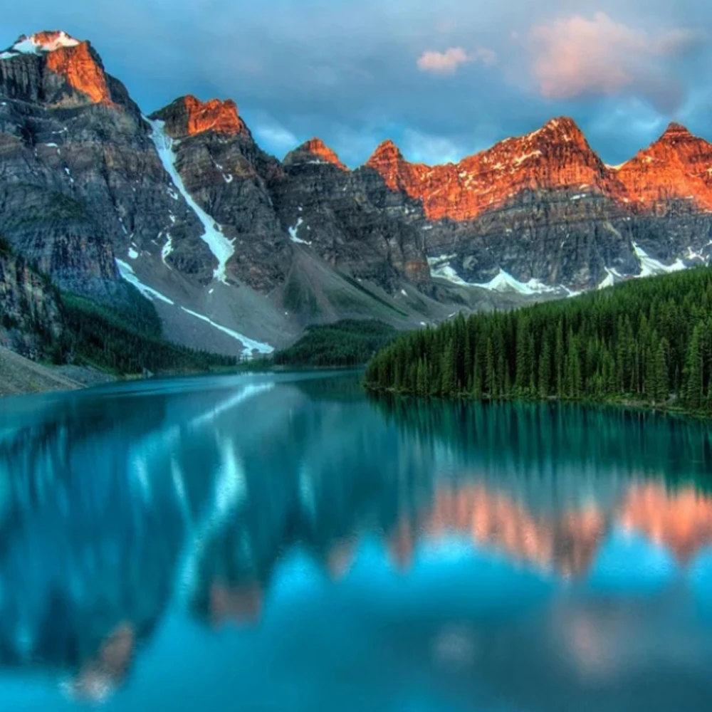 

Новый демпфер чернил для принтеров Epson Stylus Pro 9890, 9900, 7900, 7910, 9910, 7908, 9908, 7890, 9890