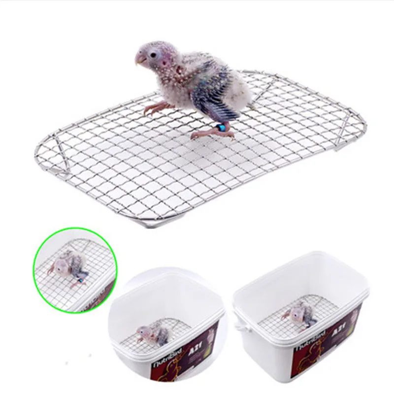 Breeding Baby Parrot Chick feeder feet treatment net bottom grid stand mesh pad for Parrot brood Cockatoos breeder raise by Hand