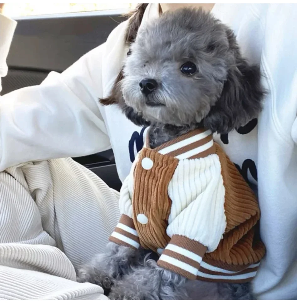 

Cute Embroidered Pet Baseball Jackets Dog Clothes For Small Medium Cat Teddy Coat Puppy Spring Clothes Warm Fashion Pet Outfit