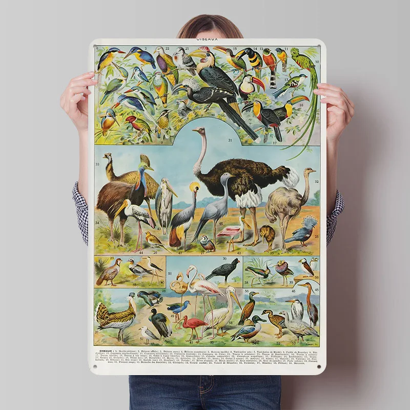 OISEAUX Poster, individuell gestaltete Vintage-Metallschilder, Wandkunst, Retro-Blechschild für Badezimmer-Dekoration, Schlafzimmer-Dekoration, Raumzubehör