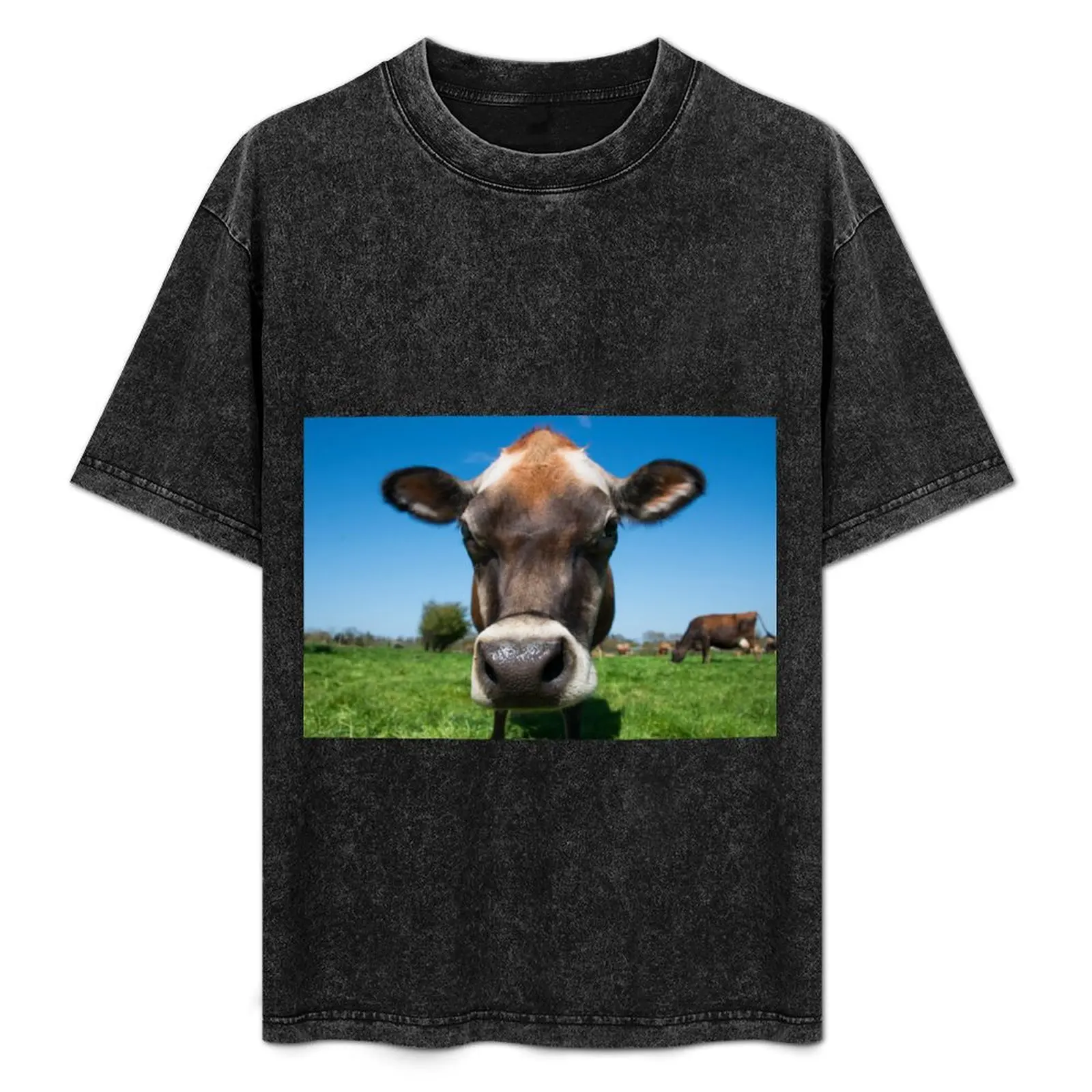 

Moo T-Shirt Minimalist Graphic Tee Shirt