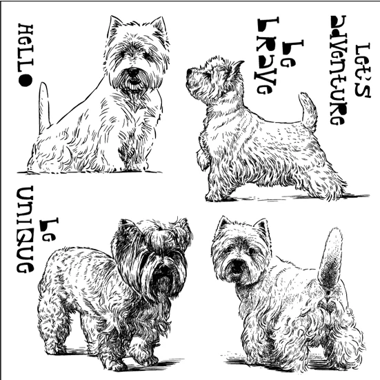 القط/السنجاب/الباندا/الكلب قطع يموت واضح Stamps سكرابوكينغ الحرف تزيين ألبوم صور النقش بطاقات صنع جديد