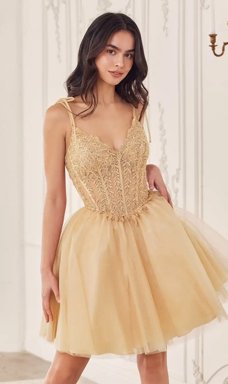 A-Line Spaghetti Strap Sweetheart Tulle Short Homecoming Dress with Lace Sleeveless Illusion Cocktail Dress Elegant