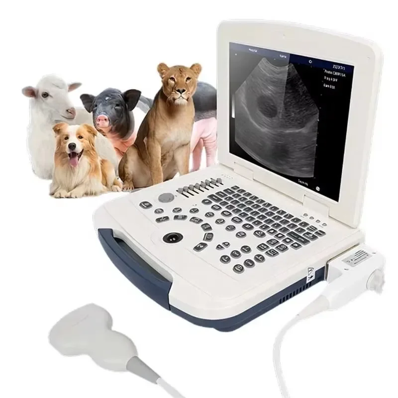 

Veterinary B-ultrasound Machine Full Digital Ultrasound Diagnostic Instrument Pet Cat and Dog Ultrasound Machine