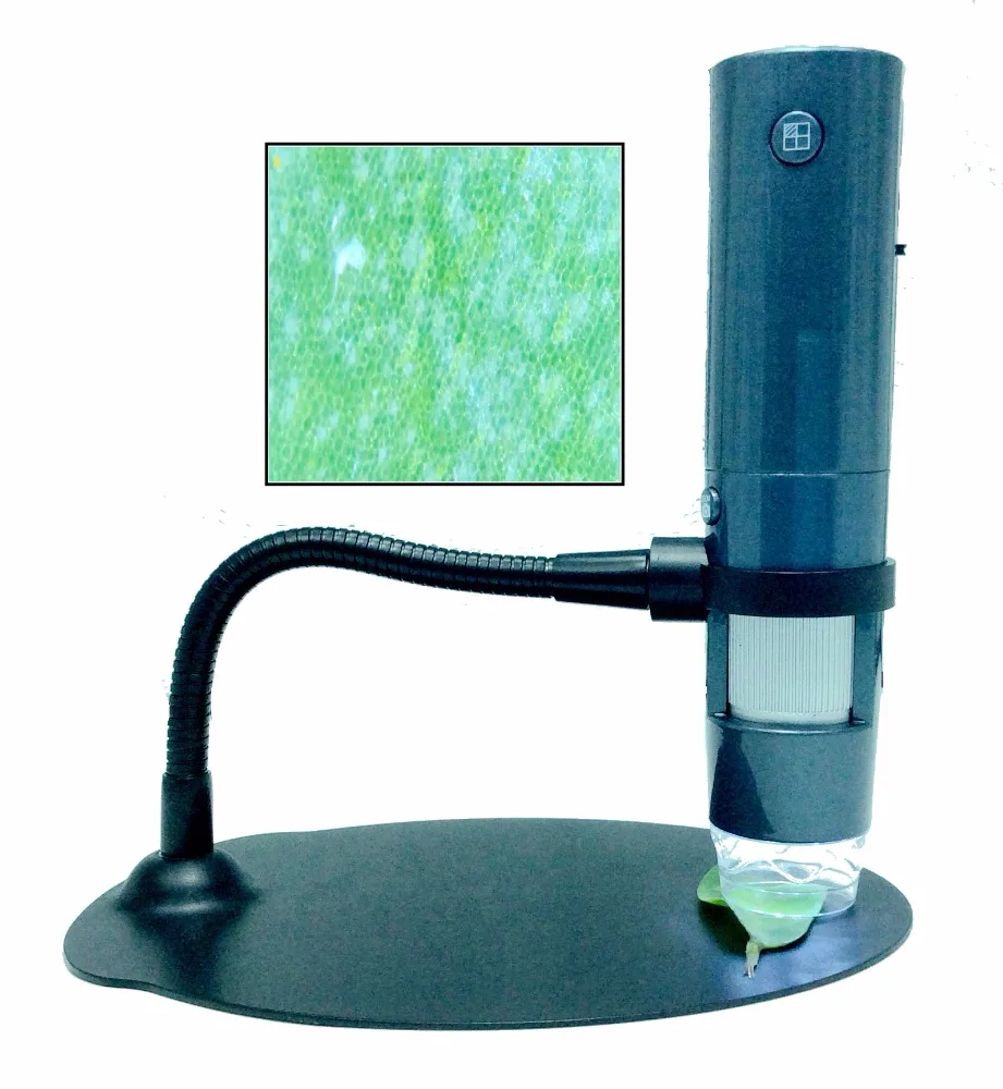 Adjustable Magnification 600x Digital Magnifying Glass With 8 Led Light for Factory Price