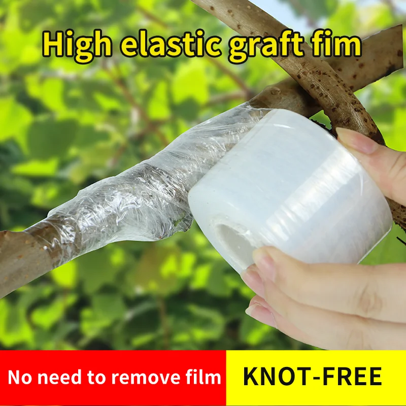 Stretchable Self-Adhesive Nursery Grafting Tape Roll Transparent Degradable Parafilm for Plant Pruning And Grafting