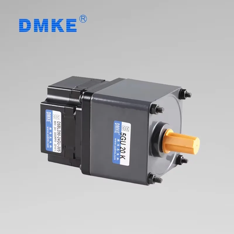 DMKE Customized 12v 24v 48v 100 watt DC Brushless Gear Motor