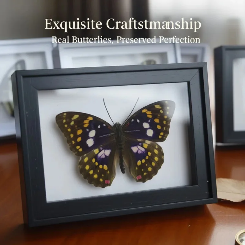3D Butterfly Specimen Natural Real Specimen Insect Real Butterflies Monarch Dead Leaf Butterfly With Wood Box Framed Home Decor