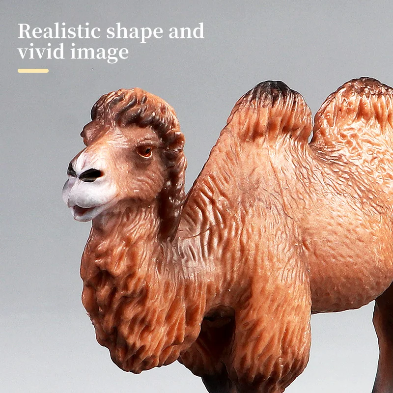 새로운 야생동물 세계 고체 시뮬레이션 낙타 동물 모델 세트 교육용 액션 피규어 장난감 어린이용