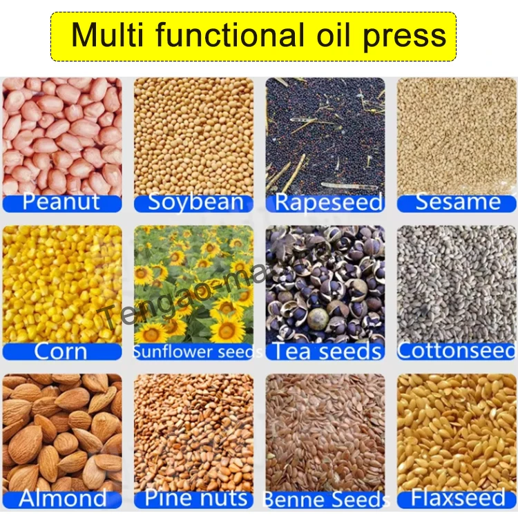 Large Capacity 300kg/h Soybean Sunflower Oil Presser/ Commercial Sesame Peanut Seeds Oil Press Machine