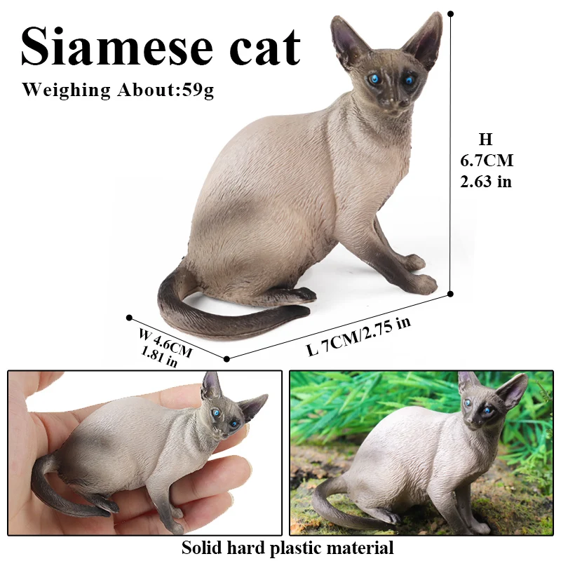 Oenux Cat Model Siamese Devon Rex Sphynx Ragdoll Persian Action Figure Cat Kitty Bobtails Figurine Cute Decoration Kids Toy Gift