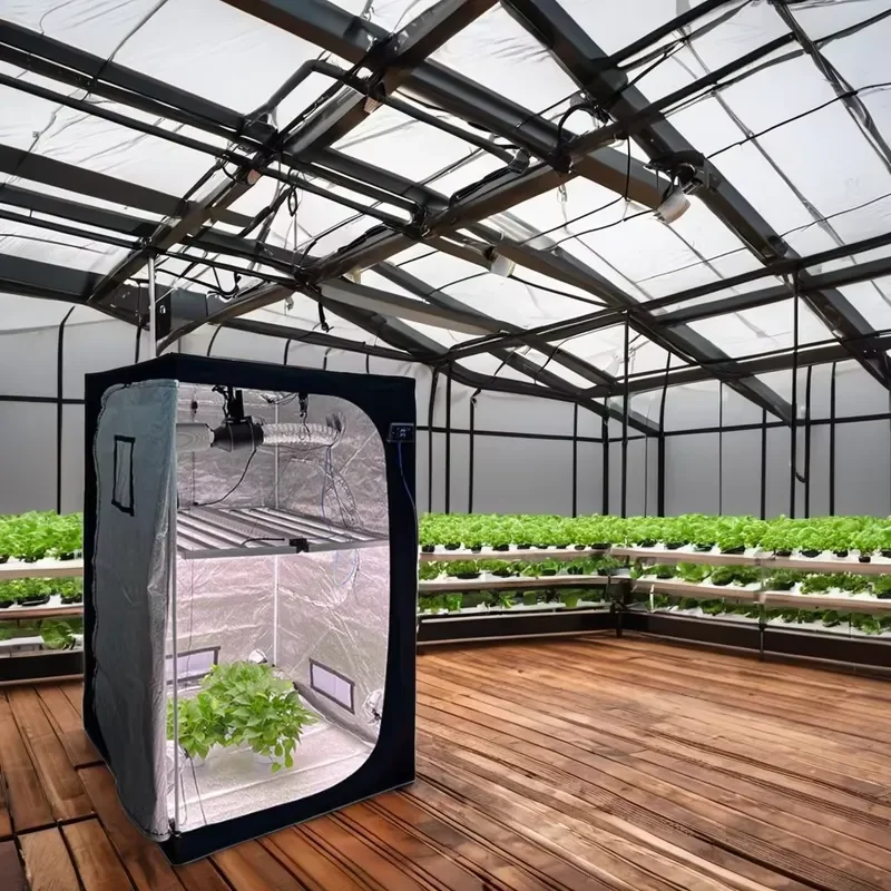 Wholesale Greenhouse Planting Kit for 240x120x200cm Indoor Use Black Customized 600D 1680D Oxford Mylar Frame with Wood