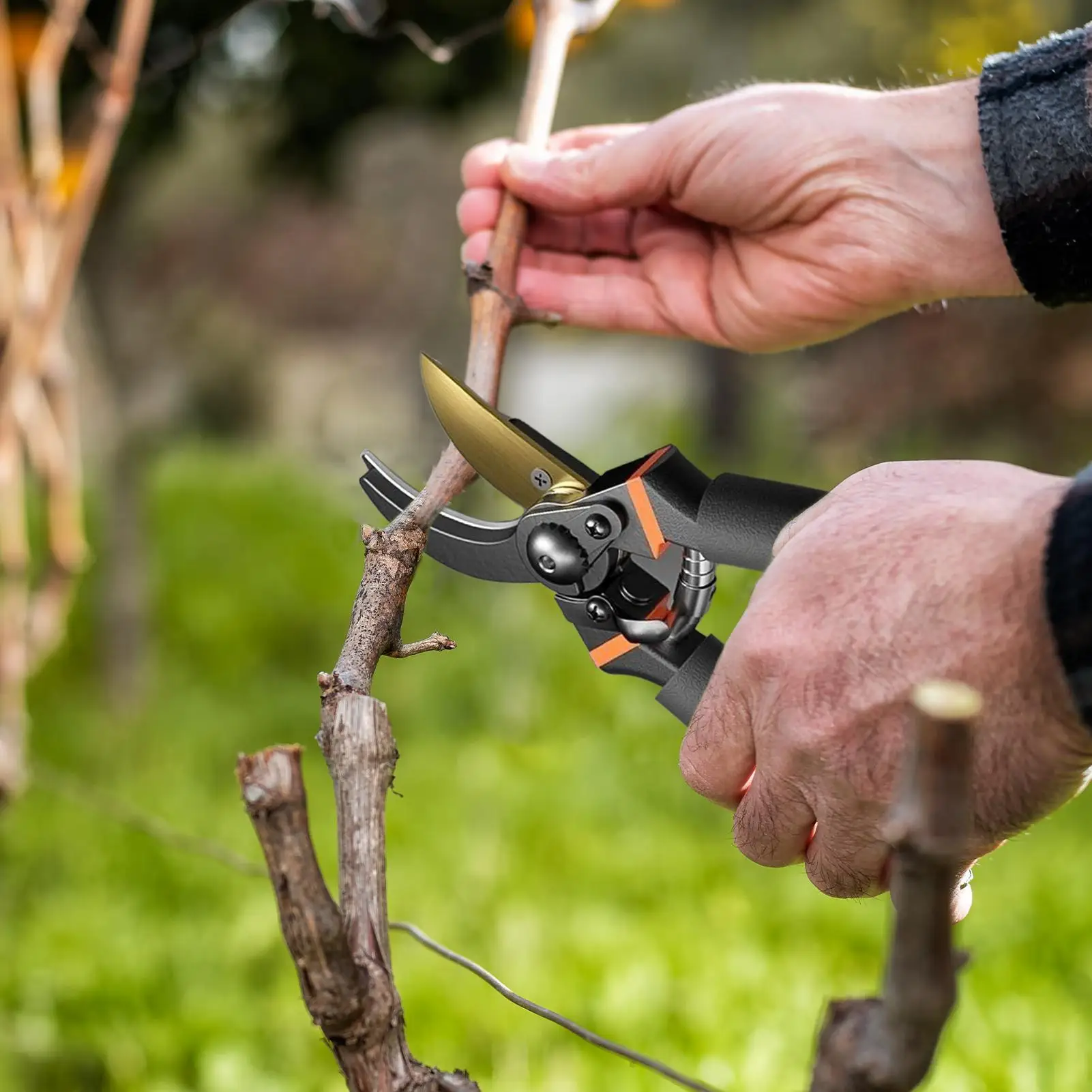 

Stainless Steel Professional Gardening Shears Pruning branches Fruit trees Flowers Household Pruning Tools Shears