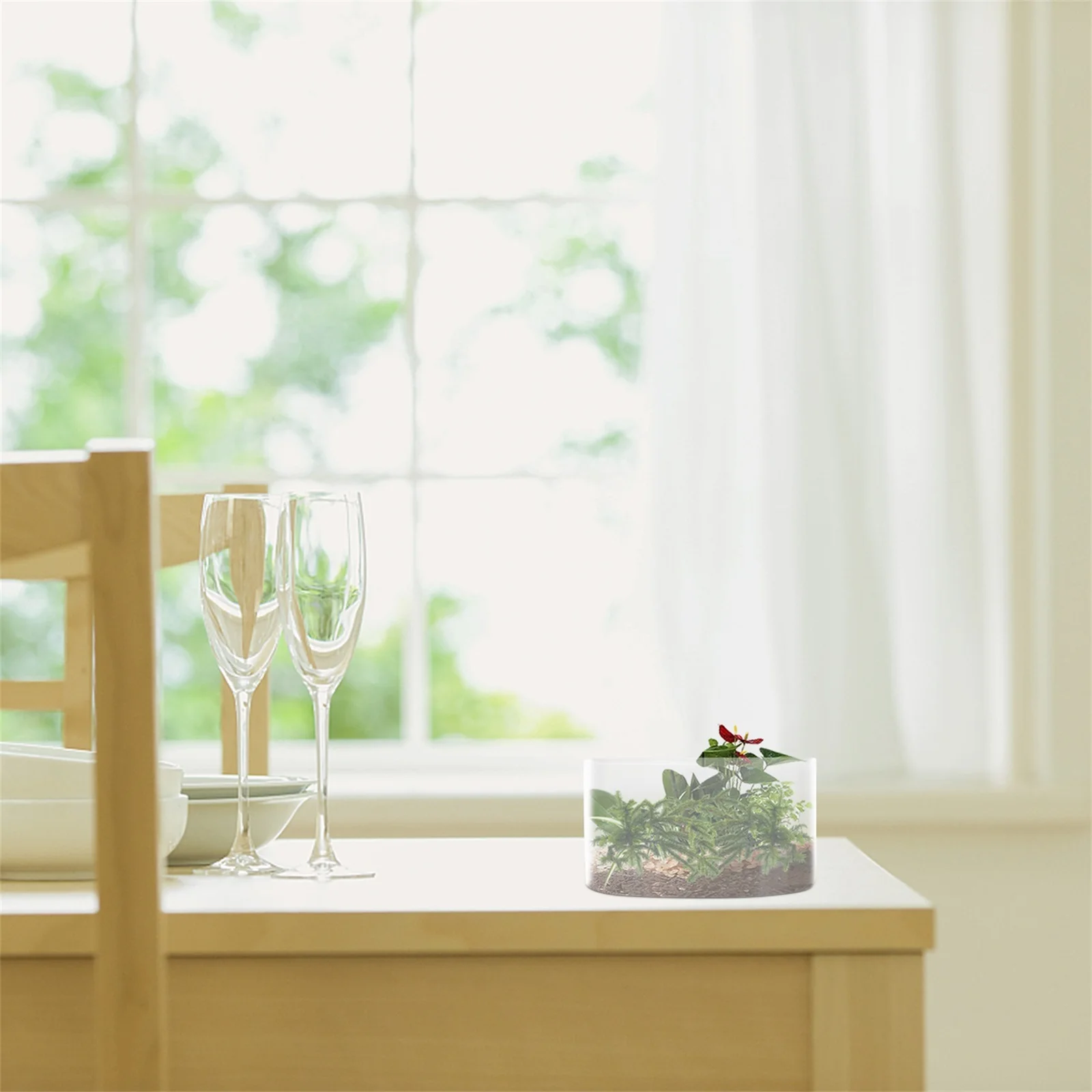 

Micro Landscape Terrarium Ecological Bottle Glass DIY Planter for Home Garden Office Decor Creative Moss Plant Container