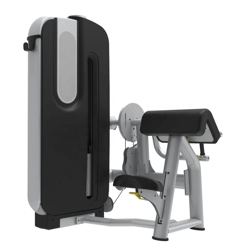 

LAND FITNESS Commercial Use Arm Extension/ Arm Curl High Quality Gym Equipment Land Fitness LDGL-7092