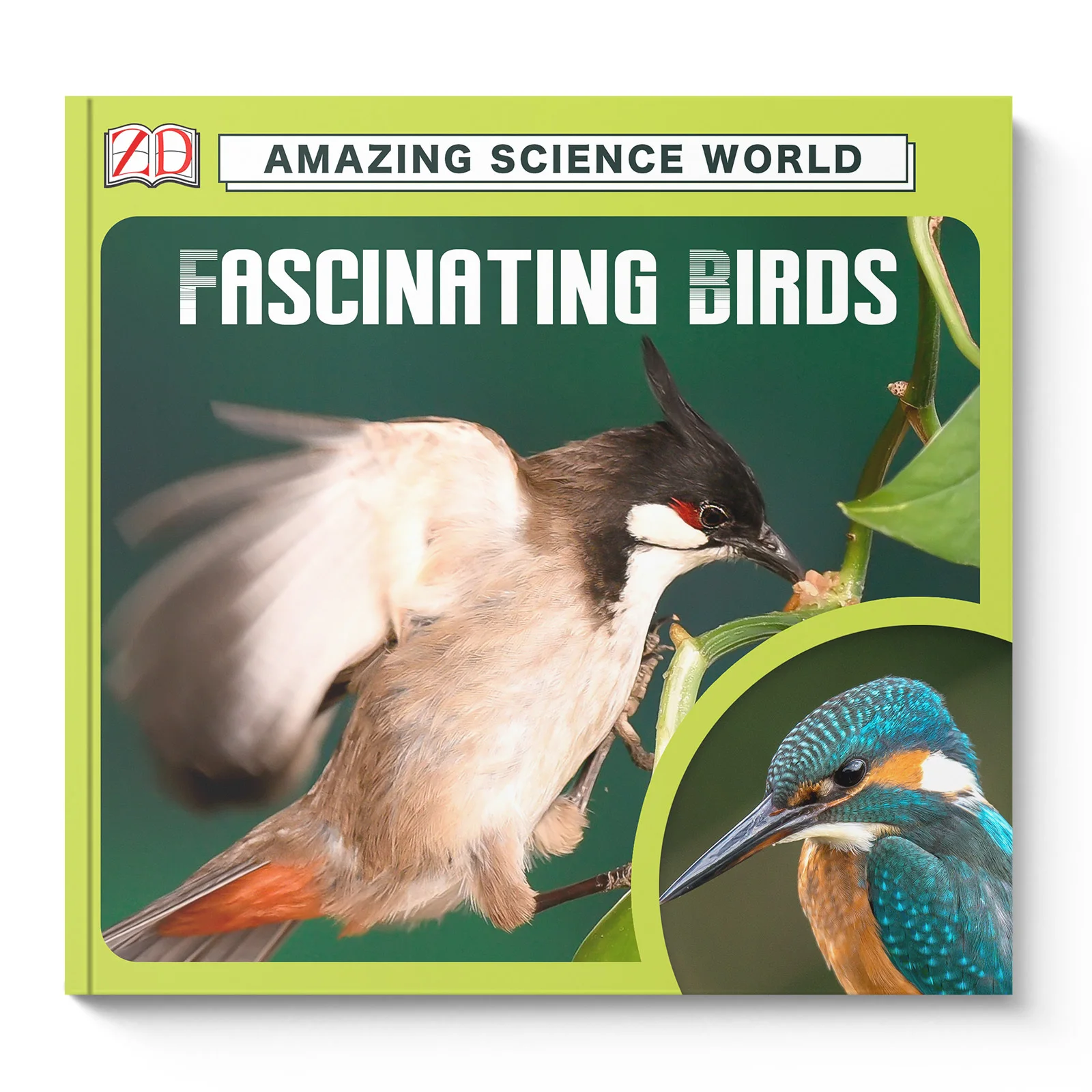 Amazing Science World: Fascinating Birds, Kids Science Book with Real Photos of Colorful Birds