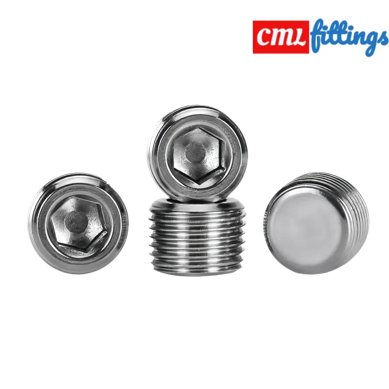 304 Stainless Steel Hex Socket Pipe End Cap - BSPT/BSPP/NPT Male Thread with Inner Hex Drive (Oil & Water Resistant Plug)
