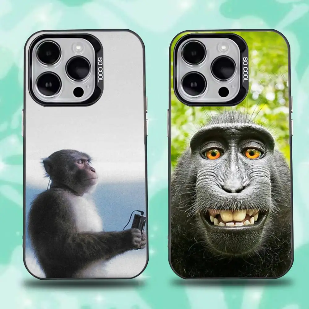 

Cute Funny Monkey Phone Case For iPhone 16,15,14,13,12,11,Pro,Max,Plus,Mini,XS,SE Anti Fall Black Matte Hard Bumper