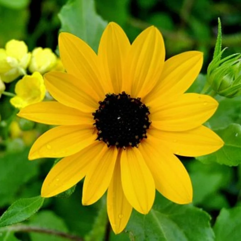 

Передний и задний металлический корпус оси для 1/8 YK4081 4082 4083 Absima Sherpa, обновленные запасные части для радиоуправляемого автомобиля