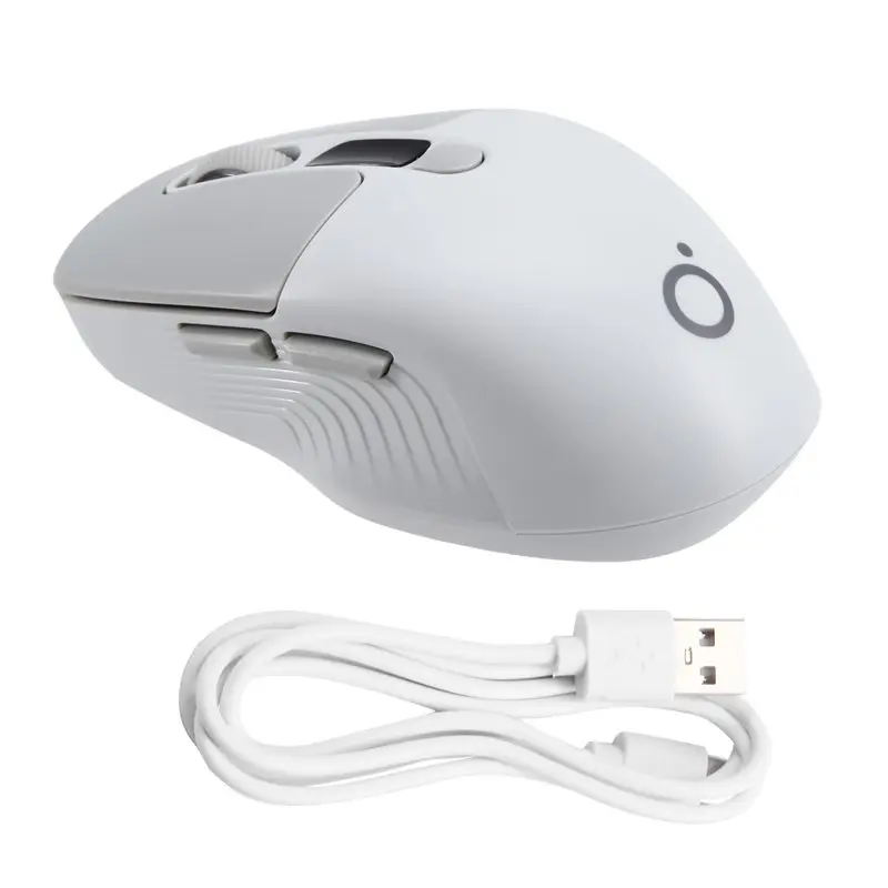 

Стабильная оптическая беспроводная мышь, эргономичная мышь с разрешением 1600 точек на дюйм, 2,4G, бесшумная беспроводная Bluetooth-мышь, беспроводная мышь для ноутбука
