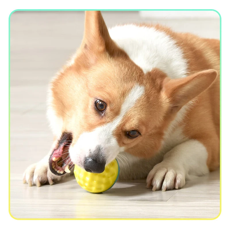 

Pet Toy Ball, Chewable, Molar, Teeth Cleaning, Bite-resistant Cat Toy, Chewing and Sounding, Elastic Dog Toy Ball