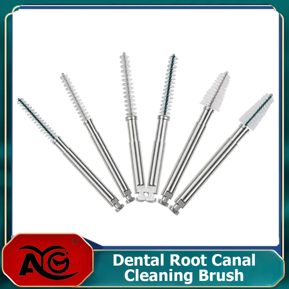 

AG 2Pcs Dental Materials Dentistry Root Clean Brush Odontologia Dentist Tools RA Shank Teeth Clean Dental Instrument