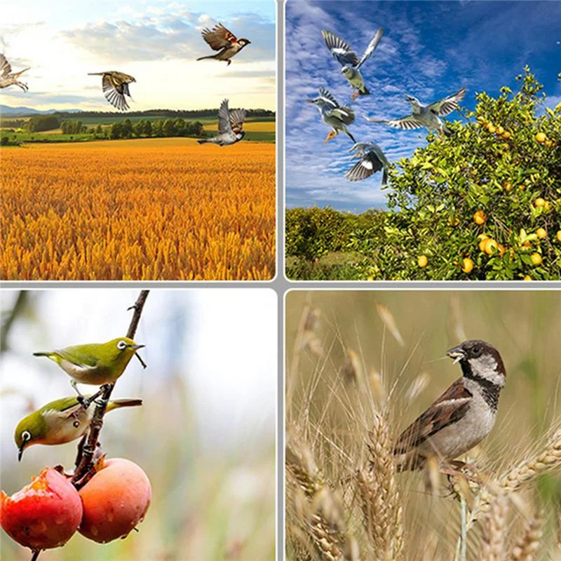 ABJN-Outdoor Solar Timer Bird Repeller With 13 Sounds Waterproof Alarm For Crops Orchards Animal Deterrent Protection