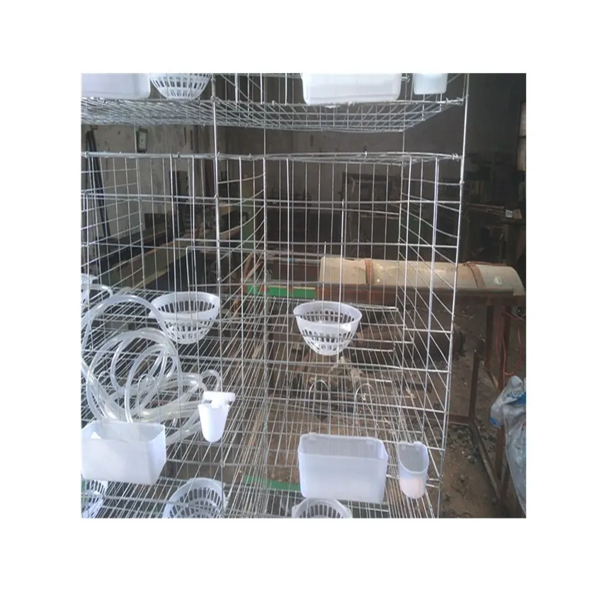 

Hot Sale Popular H Type Pigeon Breeding Cages