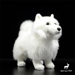 Samoyed Dog High Fidelity Anime Cute Samoye Dog Plushie Plush Toys Lifelike Animals Simulation Stuffed Doll Kawai Toy Gifts Kids