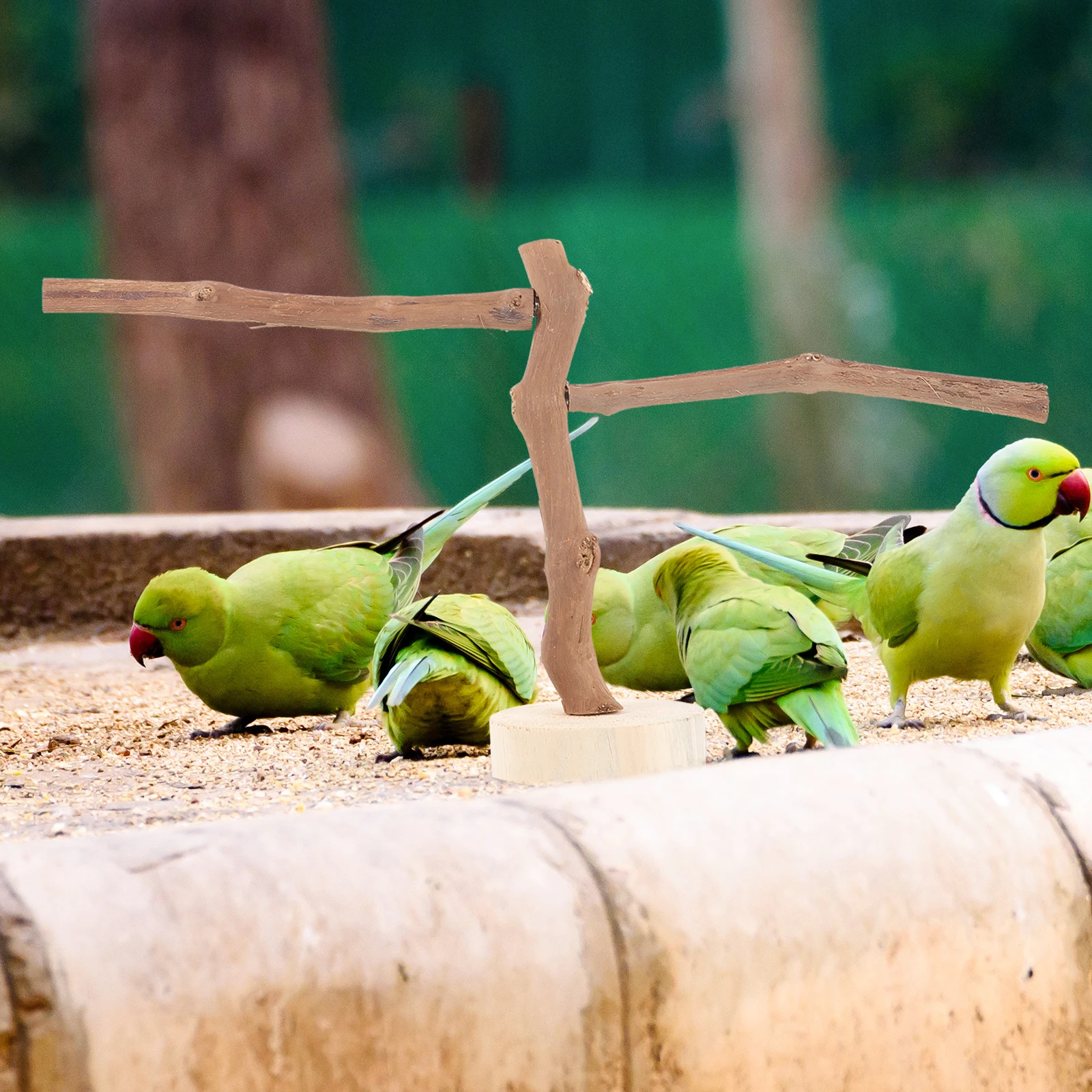

Natural Grape Branch Bird Perch Stand Durable Wooden For Parrot Cage Accessories Claw Grinding Stick Play Exercise Rest Spot